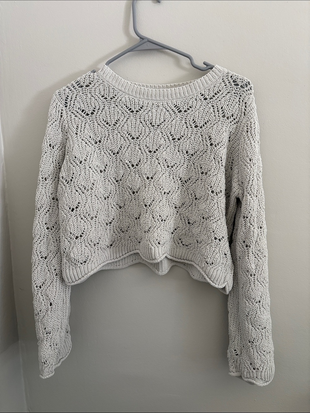 Francesca's Collections Cream Crochet Crewneck Sweater
